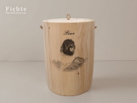 Sternzeichen Löwe